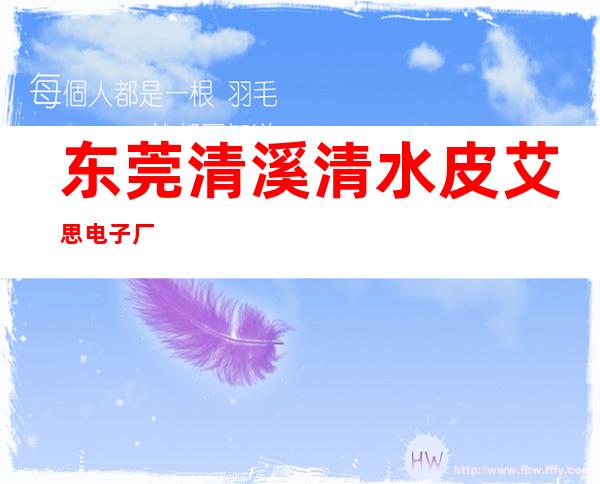 东莞清溪清水皮艾思电子厂